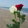 Mohammed Ahmed